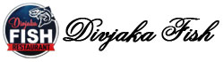 Divjaka Fish Divjake